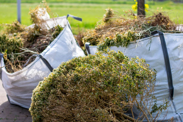 Best Yard Waste Removal  in Tashua, CT